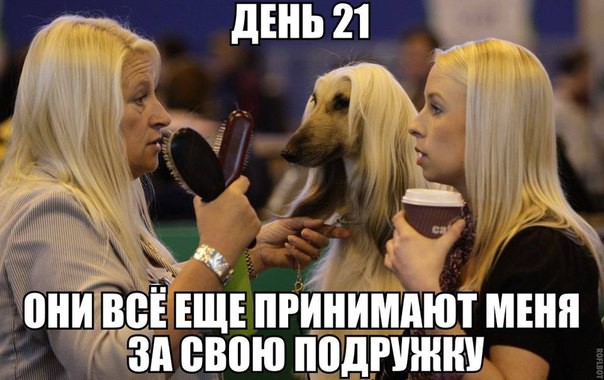 Прикольные картинки)))