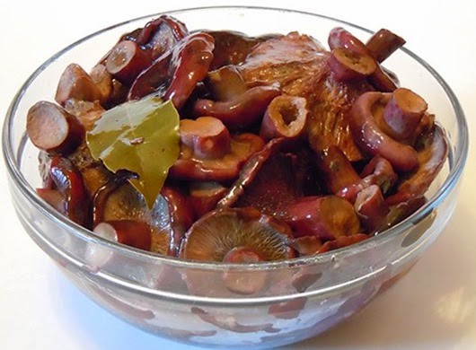 Прекрасная закуска : Соленые грузди