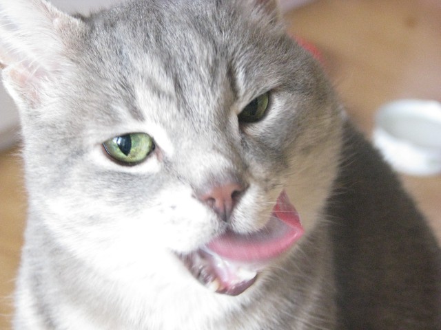 Познакомьтесь пожалуйста...