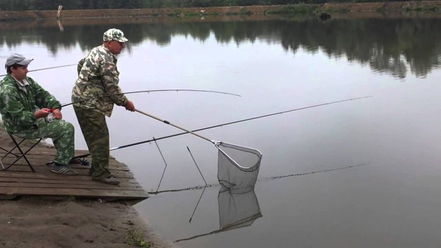 Рыбалка на карпа 