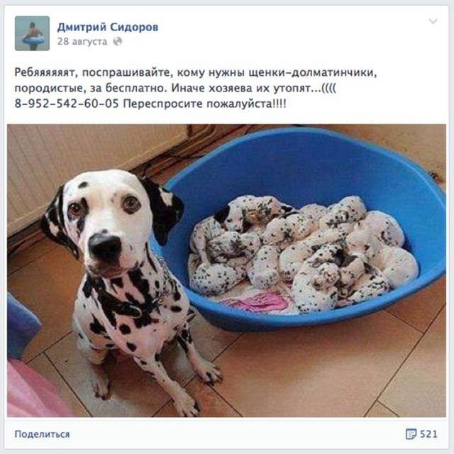 Срочно требуется помощь! Или о разводах кроликов