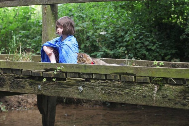  Мейн-кун и маленький художник - аутист