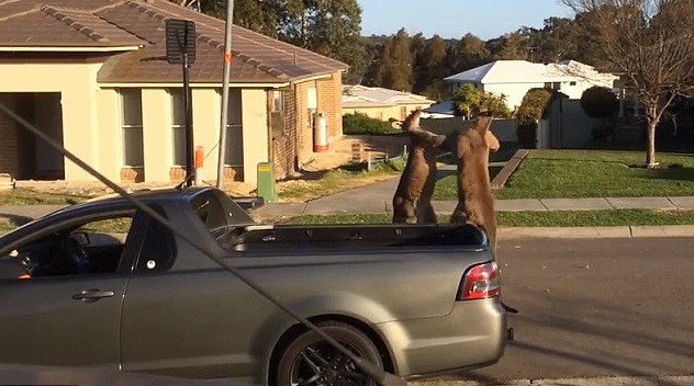 Уличная драка