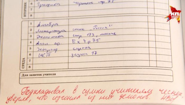 Современные  записи в дневниках