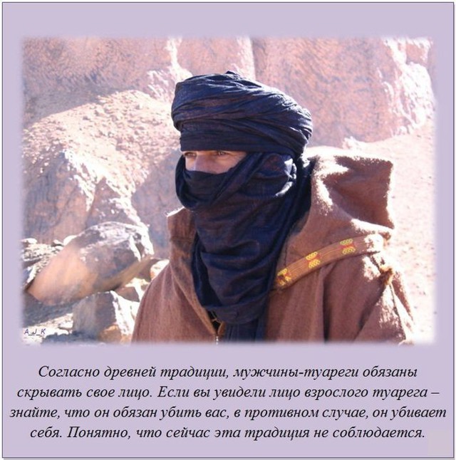 Интересные и познавательные факты