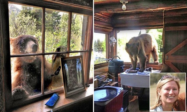 Незваный гость