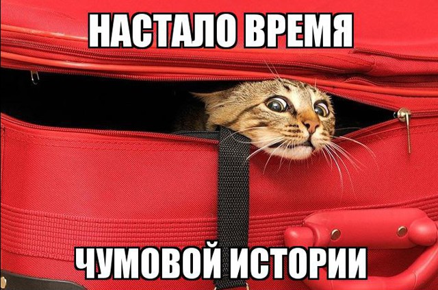 Первый блин комом, но мы не отчаиваемся!