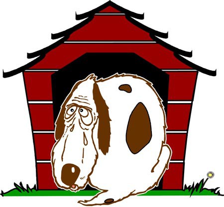 История про собак