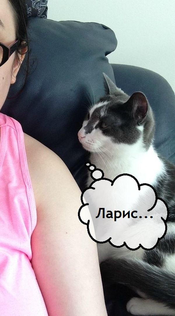  5 стадий домогательства