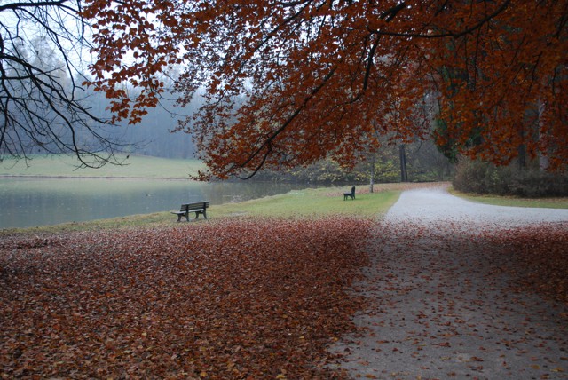 Просто немного фоток