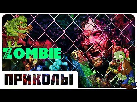 Приколы 2014