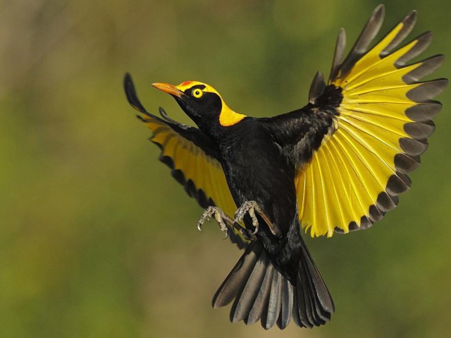 Фотография как искусство