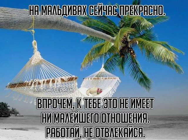 Картинки со смешными подписями
