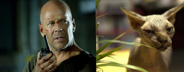 Самые сексуальные "котики" Голливуда