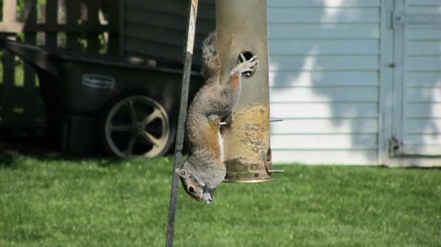 Фотоподборка за 23.10.2014