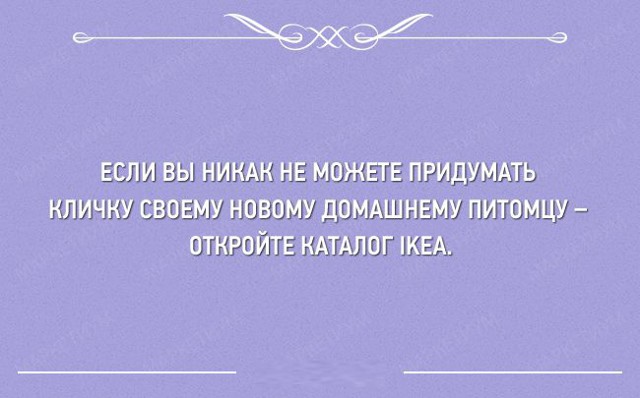 20 лучших открыток за неделю