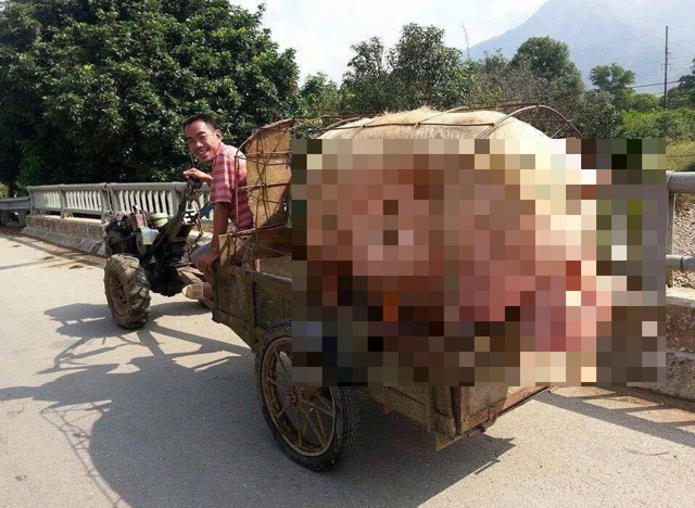 Альфа-СамЭц