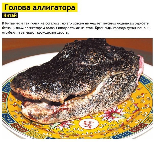 7 cамых ужасных блюд мира