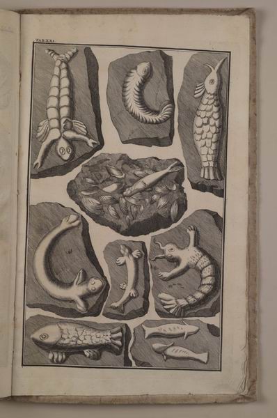 Бестселлер