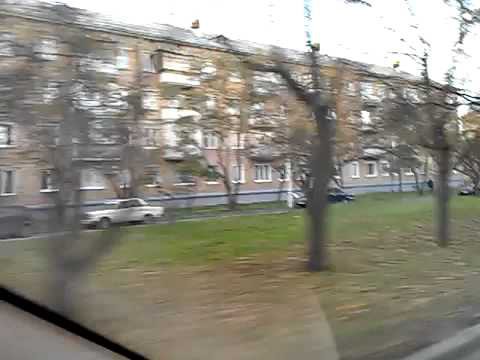  Лоси вообще офигели