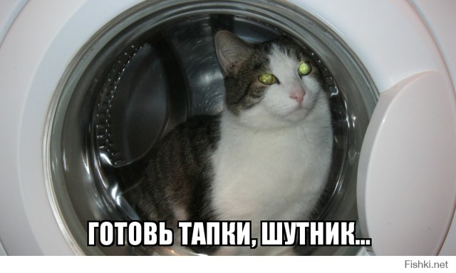 Готовь тапки, шутник...