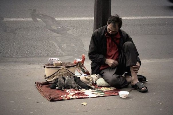 Три истории, которые заставляют задуматься