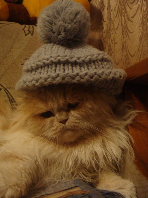 Лучшие зимние КотоЛуки!