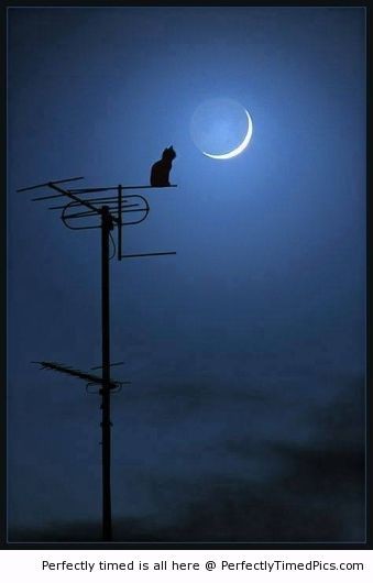 Подборка интересных ,красивых фотографий