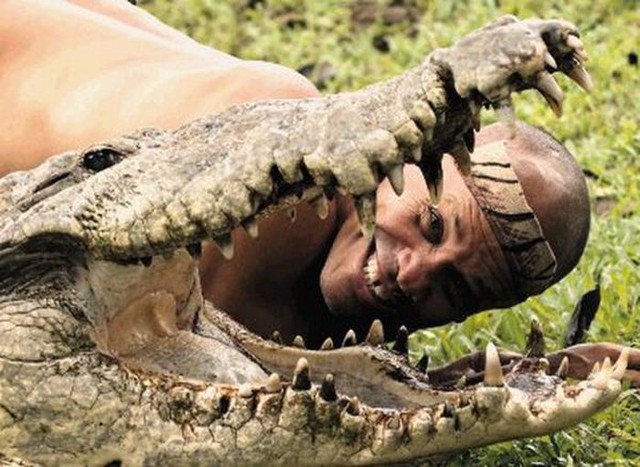 Двадцать лет в пасти крокодила