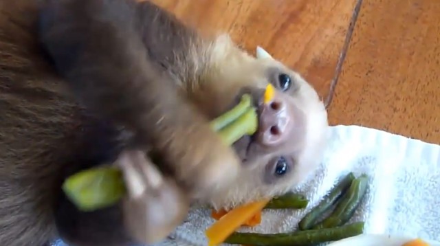  Подборка видео ДТП от Ангелина за 07.11.2014