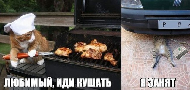 Подборка автоприколов. Часть 174