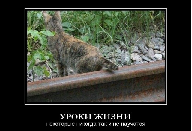 Десять главных правил, которые нужно осознать