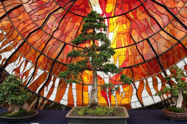 Космовитрал — ботанический сад с витражами в Мексике