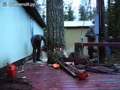 Чётко спилил дерево 