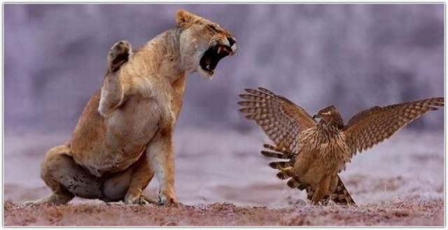 Прикольные фотки