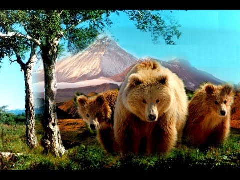 Здесь начинается Россия 