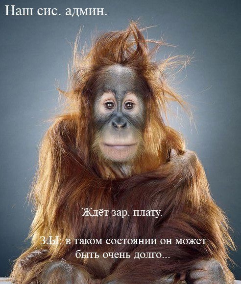  Офисные анекдоты и байки 