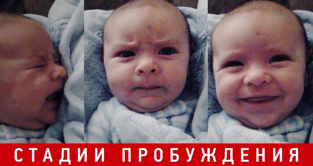 Утреннее пробуждение малыша. 5 стадий