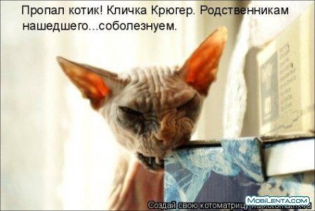 Про клички у животных