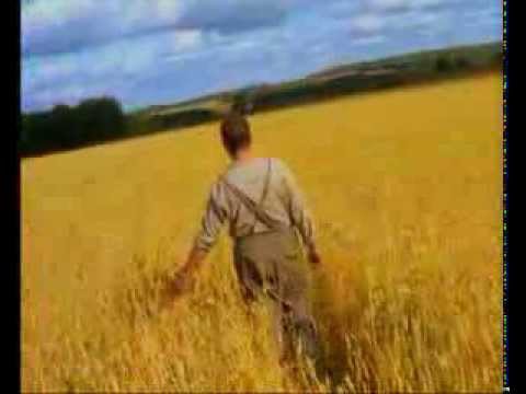 Какая связь между "Рамой" и сериалом "Солдаты" ?