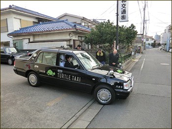 Черепашье такси