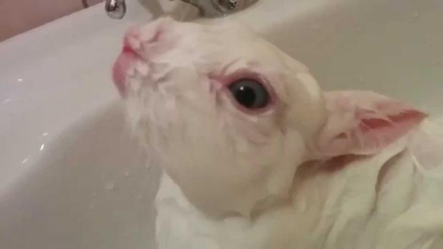 Что ты знаешь о безумии