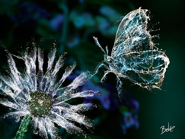 Вода и лед в цифровых работах 