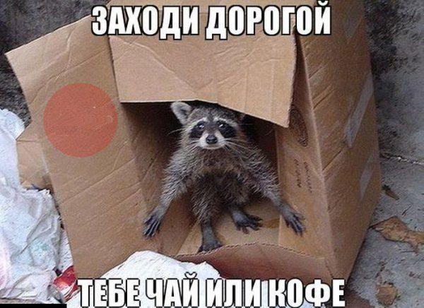 Из солянки от 27.11.2014