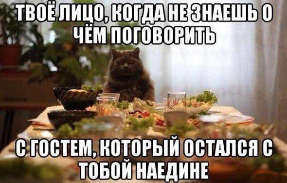 Из солянки от 27.11.2014
