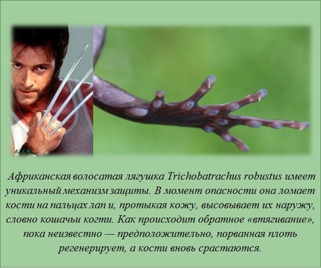  Интересные факты о разном