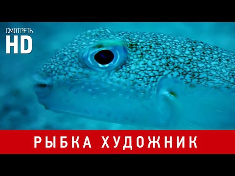 Рыбка художник... Как она это делает?!