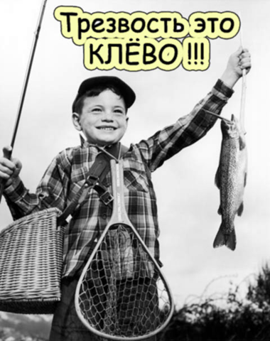 в Госдуме предлагают учредить официальный День трезвости