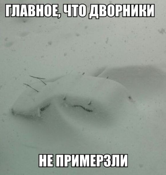  Смешные картинки 