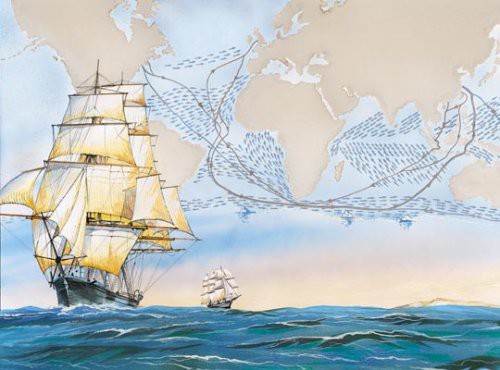 Чайная регата